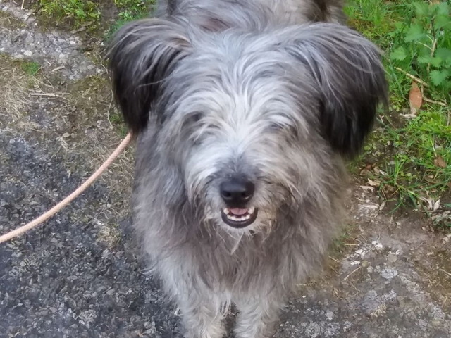 Im Frühjahr 2017 (5)